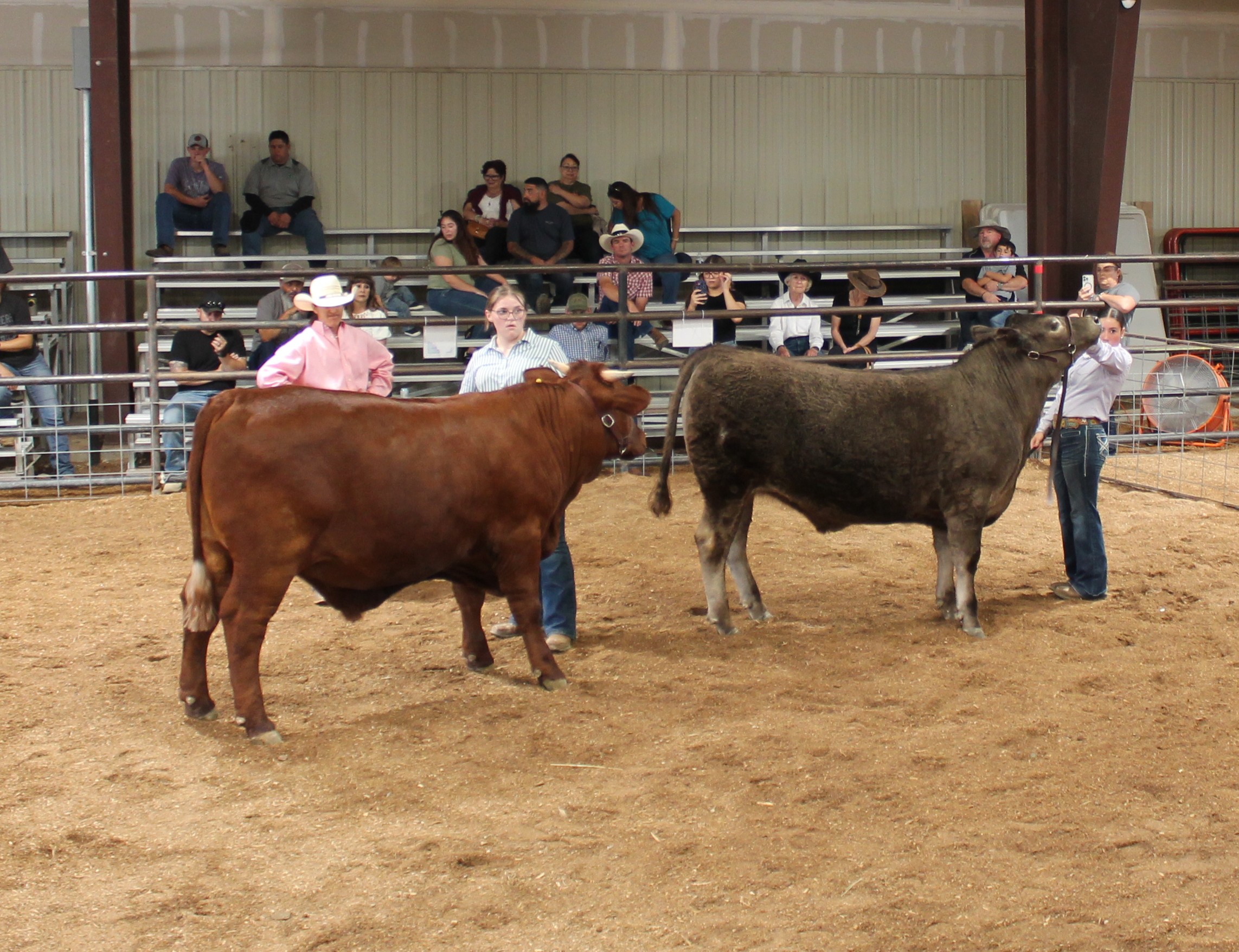 Taos County Fair 2024 Jr Livestock Show Bue Ribbon Winner-Rabbit Category-Juan I. Gonzales Agricultural Center-Taos, NM